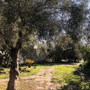 Casa vacanze Casa L'ulivo, Paterno (Sicily)